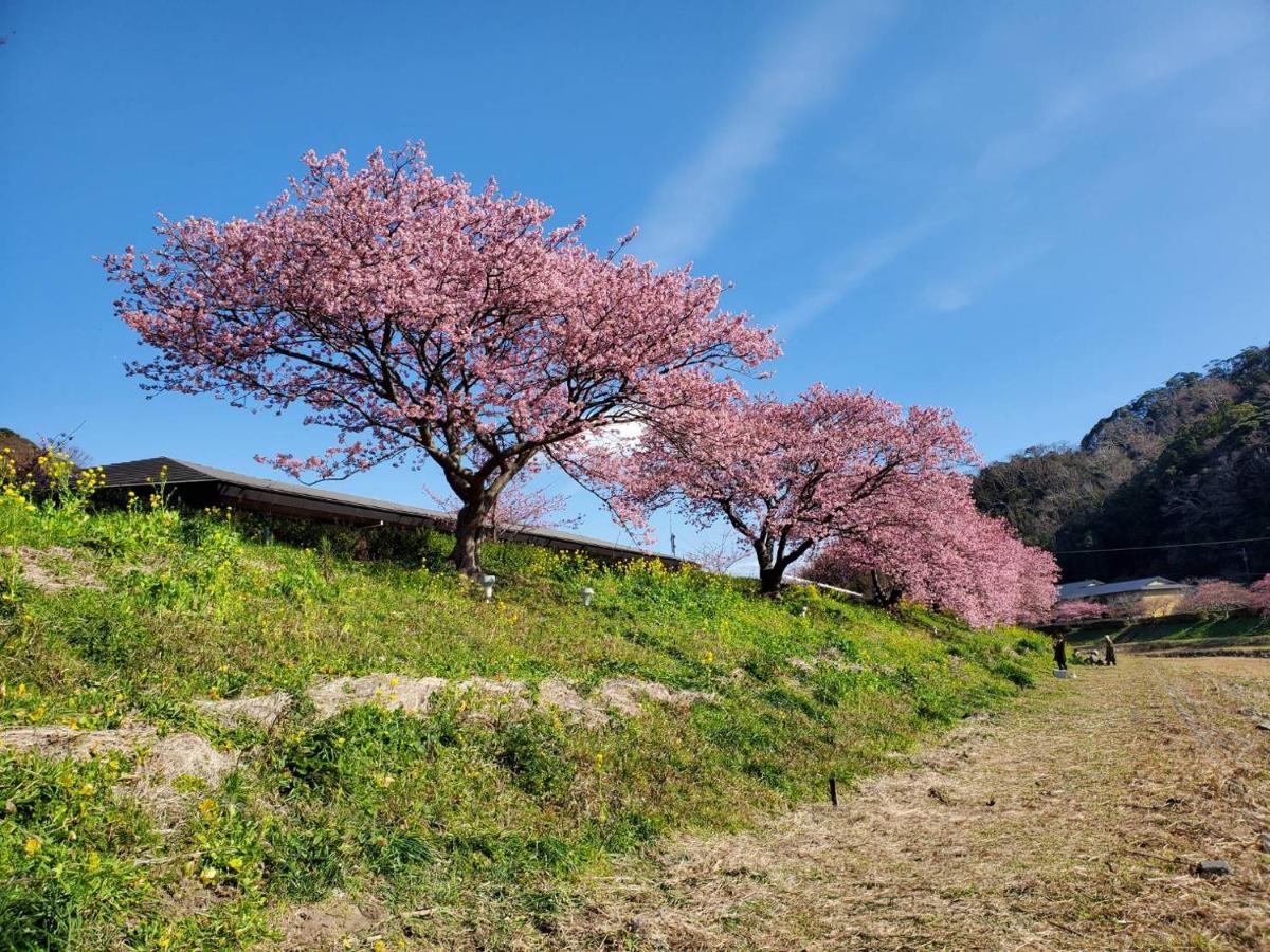 ペンション百万本のバラ "A Million Roses" Hotel Shimoda  Buitenkant foto